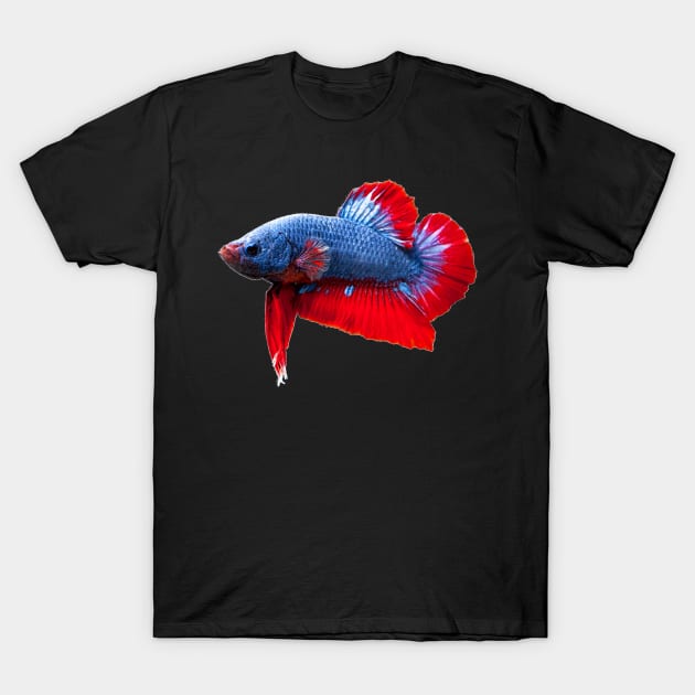 Betta Plakat T-Shirt by NerdsbyLeo